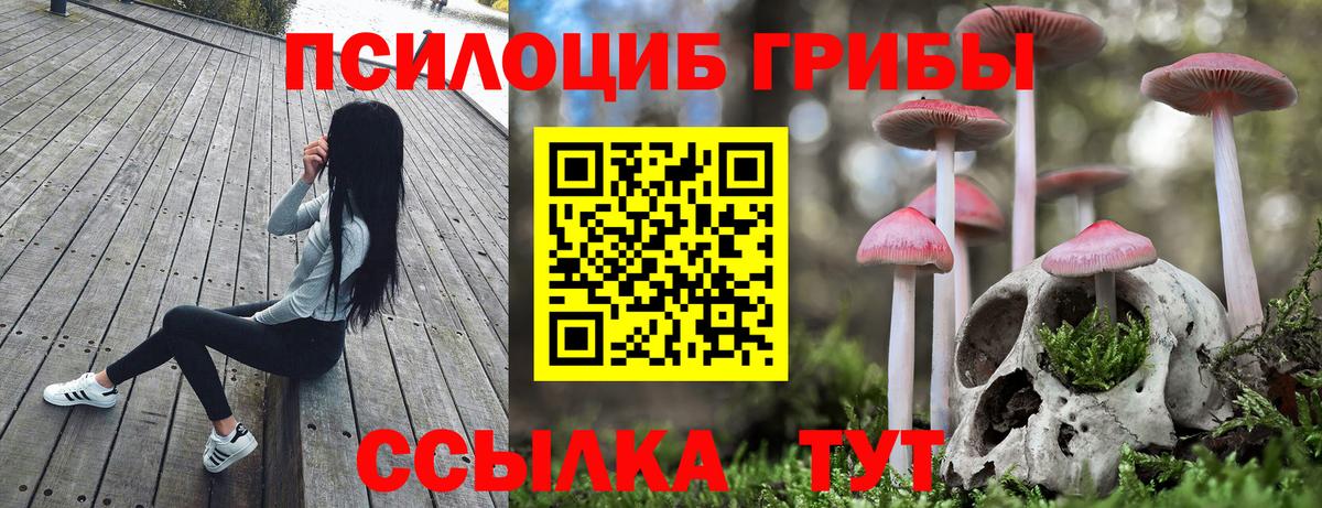 Галлюциногенные грибы MAGIC MUSHROOMS Клинцы