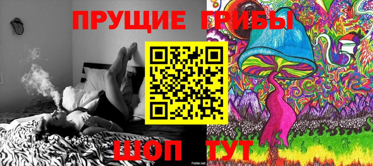Галлюциногенные грибы MAGIC MUSHROOMS  Вход с VPN  Клинцы 